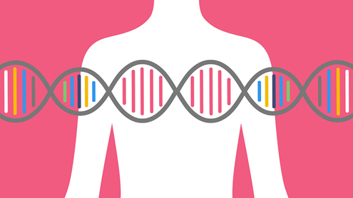 Ashkenazi Jewish Heritage and BRCA mutations