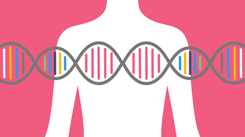 Ashkenazi Jewish Heritage and BRCA mutations