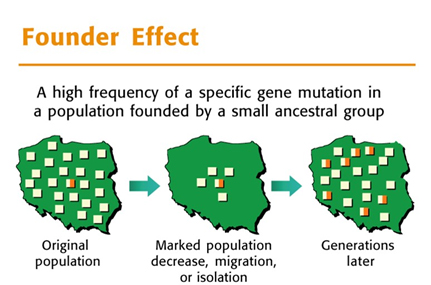 Ashkenazi Jewish Heritage and BRCA mutations