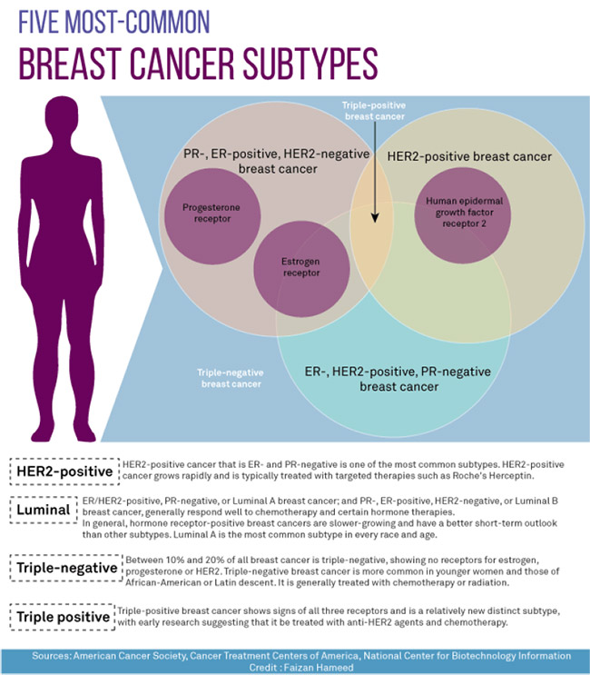 NEOADJUVANT THERAPY OVERVIEW