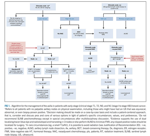  Breast Cancer Treatment Algorithms 