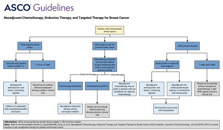 Breast cancer clinical guidelines | breast cancer surgery melbourne, vic