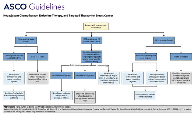  Breast Cancer Treatment Algorithms 