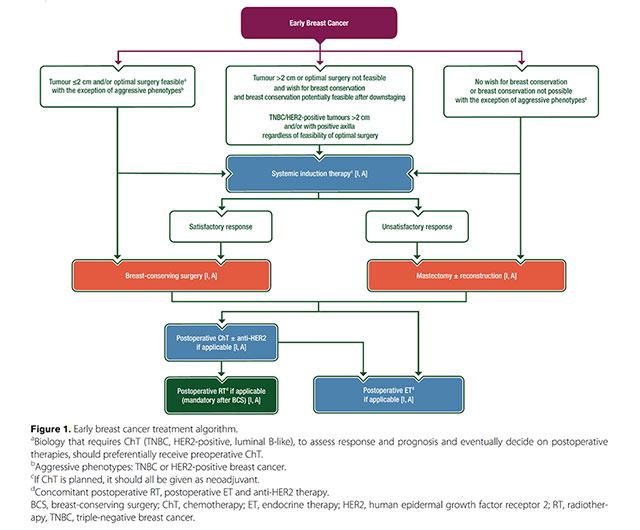  Breast Cancer Treatment Algorithms 