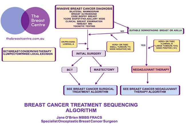  Breast Cancer Treatment Algorithms 