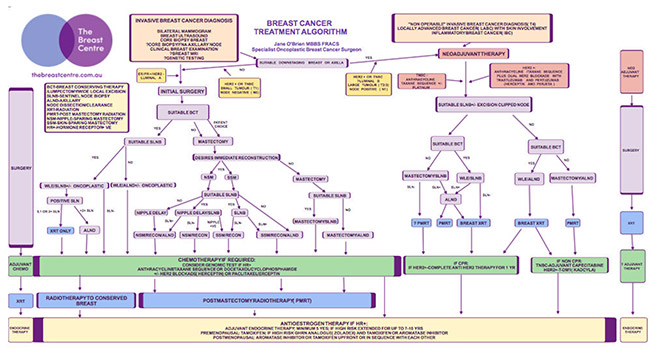  Breast Cancer Treatment Algorithms 