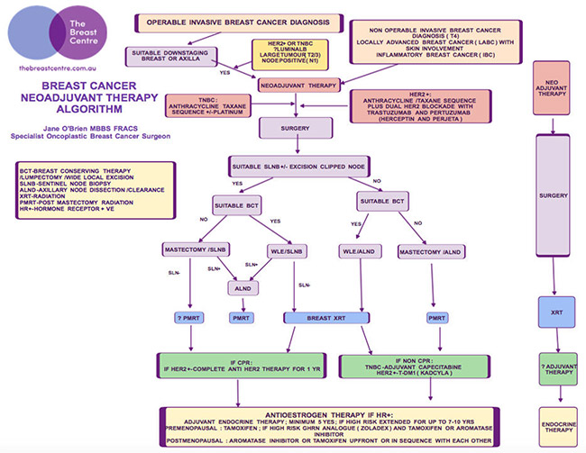  Breast Cancer Treatment Algorithms 