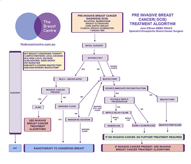 Ductal Carcinoma in Situ (DCIS) Treatment Algorithm 