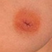 Normal Nipples