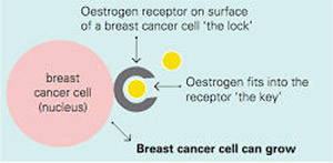 INITIAL TREATMENT DECISIONS