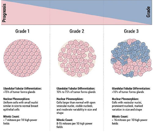 INITIAL TREATMENT DECISIONS