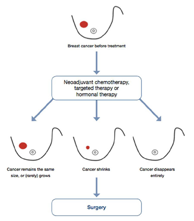 NEOADJUVANT THERAPY OVERVIEW