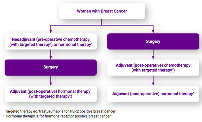 NEOADJUVANT THERAPY OVERVIEW