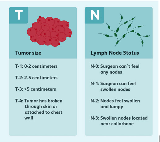  NEOADJUVANT THERAPY PERSONAL APPROACH and PRACTICAL ASPECTS 