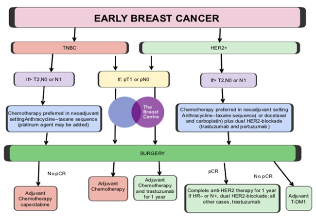 NEOADJUVANT THERAPY PERSONAL APPROACH and PRACTICAL ASPECTS