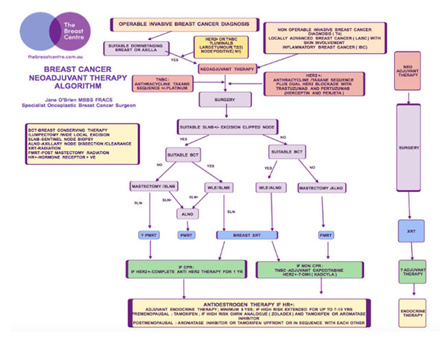  NEOADJUVANT THERAPY PERSONAL APPROACH and PRACTICAL ASPECTS 