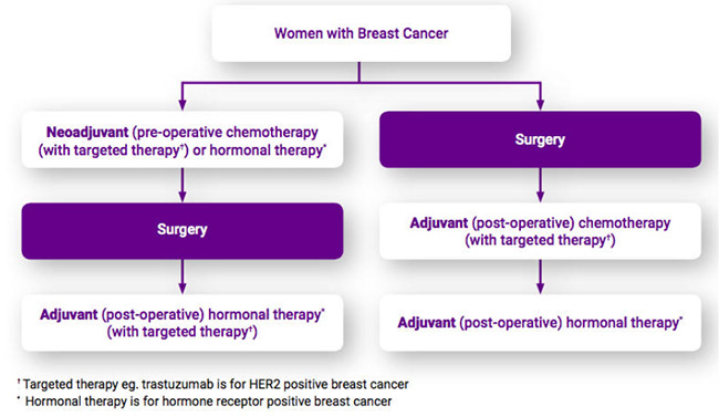 NEOADJUVANT THERAPY PERSONAL APPROACH and PRACTICAL ASPECTS