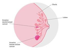 pathologist
