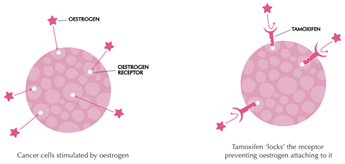 pathologist